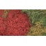 Lichen (Multi Colour Mixture)